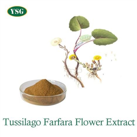Tussilago Farfara Paj Extract hmoov