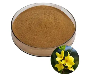 Forsythia Extract