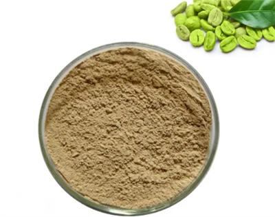Green Coffee Bean Extract 50 Chlorogenic Acid
