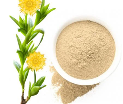Sceletium Tortuosum Kanna Powder