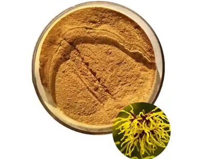 Witch Hazel Extract